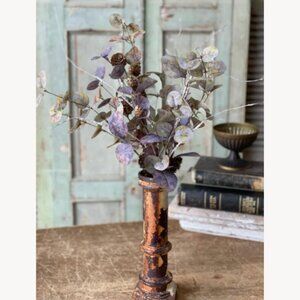Eucalyptus Stems